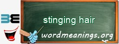 WordMeaning blackboard for stinging hair